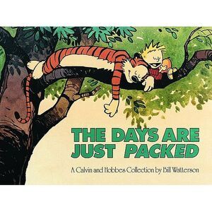 The Days Are Just Packed: A Calvin and Hobbes Collection Volume 9 -- Bill Watter